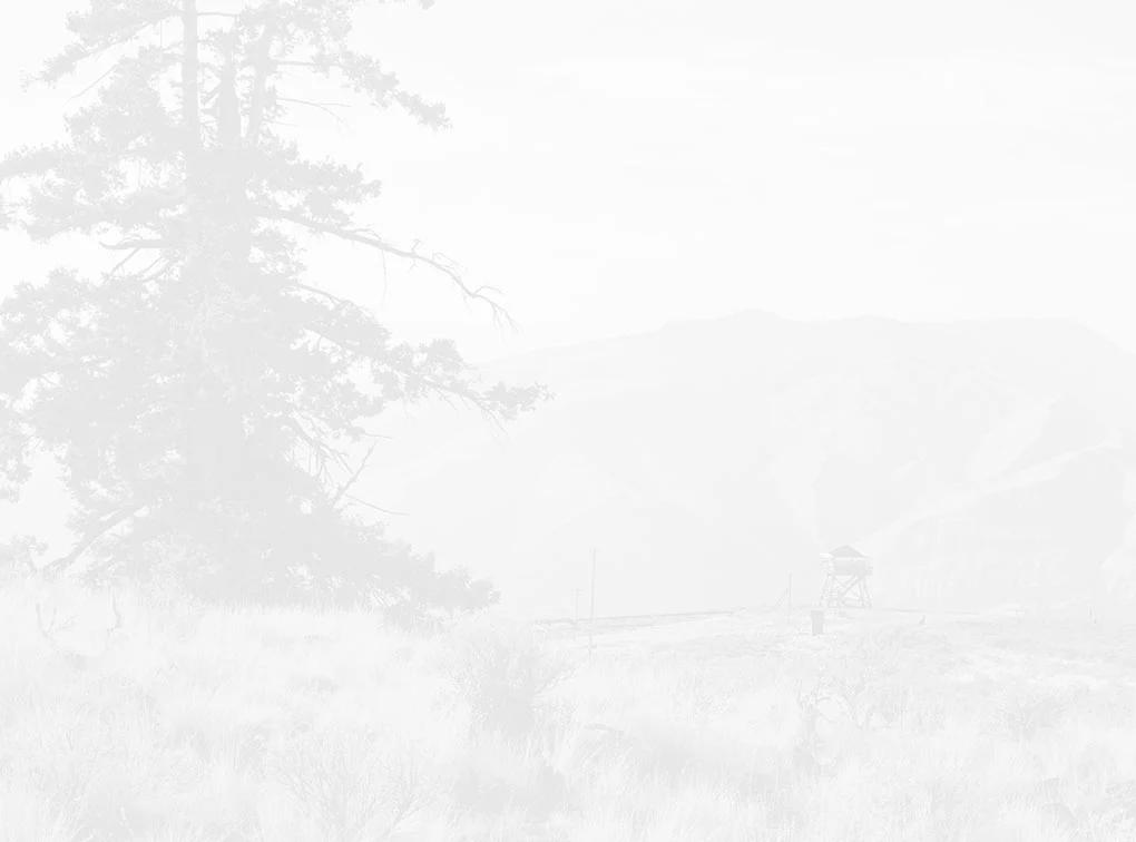 Loudest Love: Official Soundgarden Gear